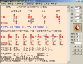 南方排八字专业程序9.2破解版 