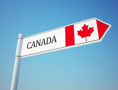 加拿大国籍分几种