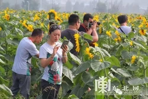  澜沧县富邦乡黑河水生植物现状调查研究,我国水生生物的保护现状 天富招聘