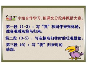 什么 谚语告诉我们要学会合作，正确认识“团结力量大”的道理