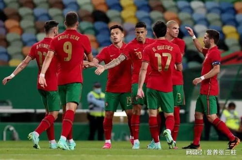 2024欧洲杯葡萄牙,葡萄牙队夺得2024年欧洲杯冠军