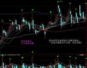 短线操盘实战技巧的作者简介