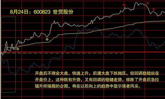 怎么打开大盘和个股的分时图、月线图、季线图、年线图？