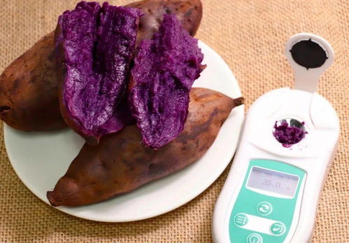紫薯甜度高吗,紫薯甜度高吗