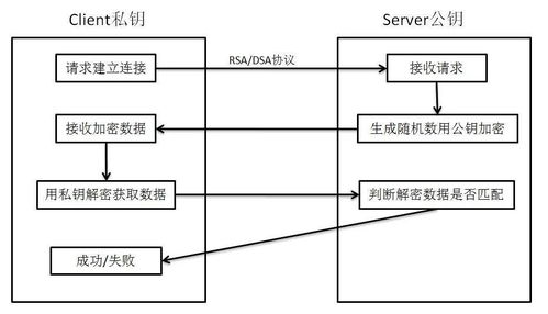 加密货币私钥受到威胁,什么是私钥密码公钥密码