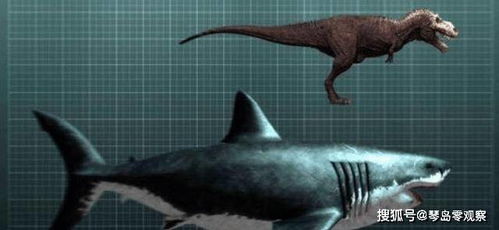 巨齿鲨vs沧龙vs龙王鲸vs帝王鳄,标签。