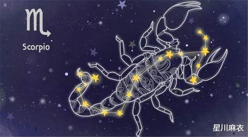 1月4日 10日星座周运 天秤表现亮眼,天蝎收入稳定,摩羯很强势