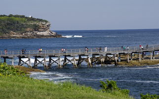 桥,海,海洋,景观,海岸,现场 