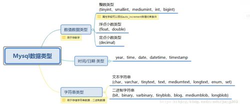 mysql类型, 数据类型分类