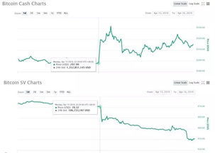 BsV币的今日价格,BSV-比特币SV是什么？