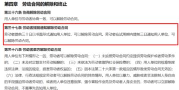 您好，我有面试盒马鲜生的校招，请问能告知下入职签的是什么公司嘛？