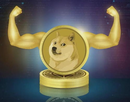 doge币登月,手机上怎样买卖狗狗币？