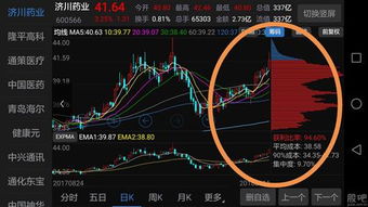 低估值高成长大盘蓝筹股有哪些，代码是多少。