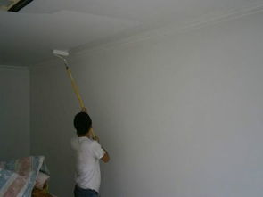 家里墙面刮的大白,怎么能快速的铲除掉 