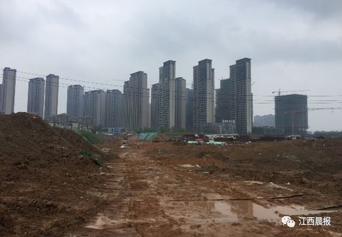 南昌南斯友好路等多条道路将有大变化