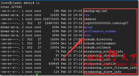 如何将阿里云的mysql RDS 数据备份到本地(阿里云服务器怎么备份)