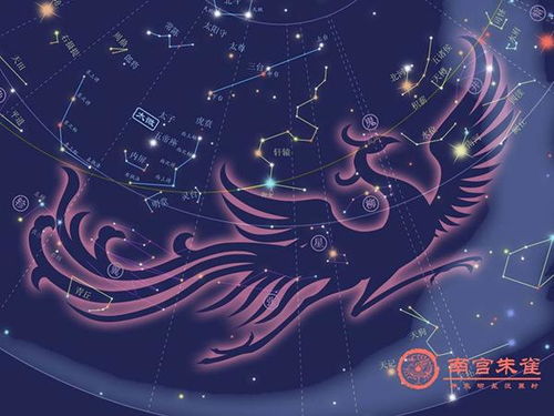 中国古代的二十八星宿 