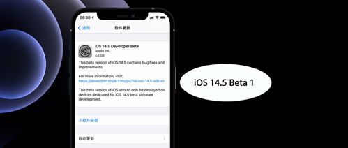 iOS 14.5 Beta 1体验 10 项更新,续航无变化