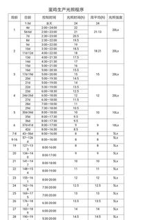 蛋仔光照怎么设置(蛋仔液怎么调)