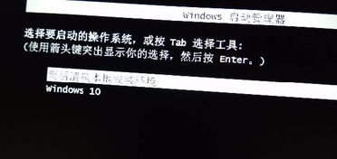 雨后清风win10系统安装