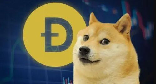 SpaceDoge是什么币