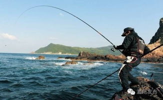 洞头签订首个整岛搬迁协议,南策岛将成国际海钓旅游岛 