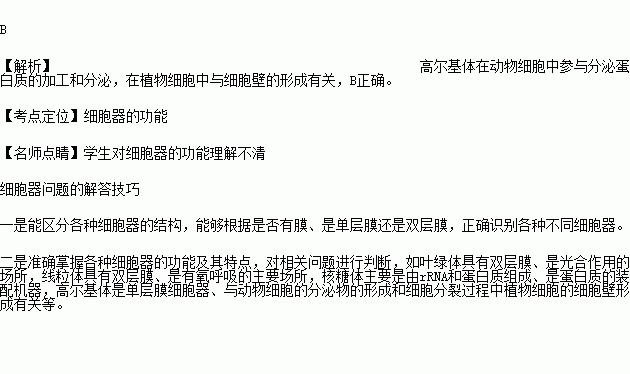 某种细胞器在动物细胞中与分泌蛋白质的加工和分泌有关 在植物细胞中与细胞壁的形成有关.则该细胞器是A.内质网 B.高尔基体 C.线粒体 D.中心体 题目和参考答案 