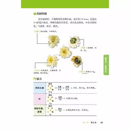 好书推荐 学习中草药必备书籍,让你快速直观了解中草药