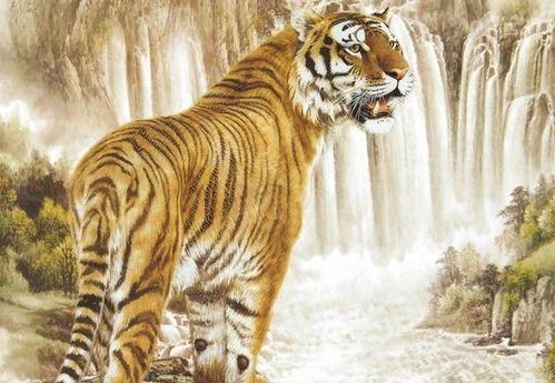 十二生肖之生肖虎,不同年份出生的命相与姻缘,家里有属虎人必看