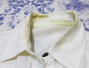 白色衣领泛黄咋洗 拿这个常用物搓一搓,立马洁净没污渍