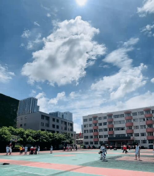 成都市职高学校有哪些专业好