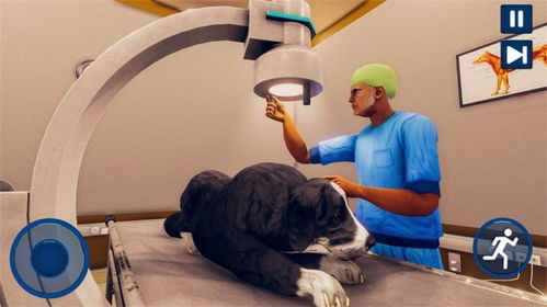 宠物医院模拟器游戏下载 宠物医院模拟器2020最新版下载v1.2 40407游戏网 