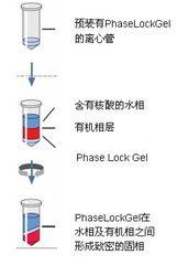 请问氯仿与水分层后谁在下层 谢谢 