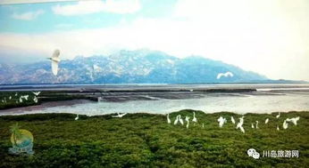 上川岛旅游攻略必去景点,上川岛旅游攻略：必去景点