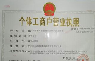 工商登记执照信息中的执照种类是什么意思啊 例如国有企业 