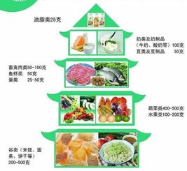 怎样吃东西营养均衡健康,科学饮食与均衡营养