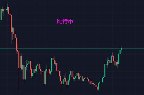 shib今日行情价格多少,市场分析 shib今日行情价格多少,市场分析 生态