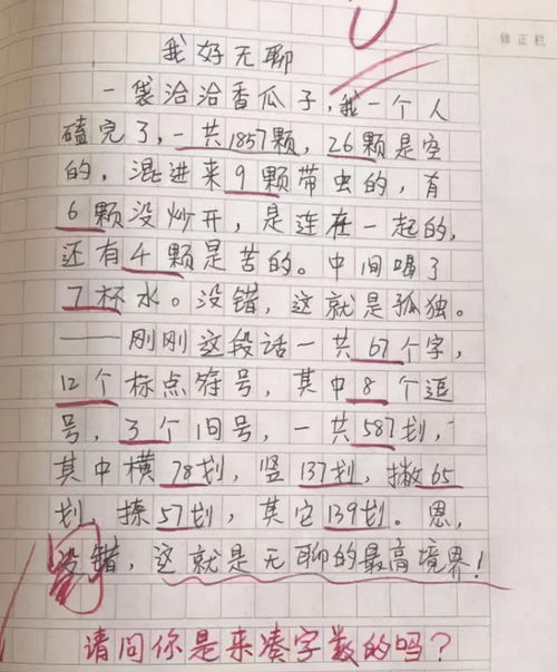 与父母谈心的作文300字