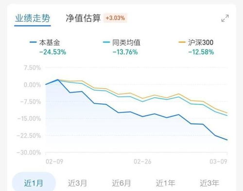 当然股市低迷,大跌的时候基金也一样跟着跌的,只是有跌多跌少之分而已