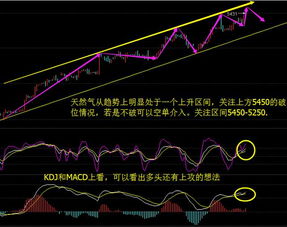 向逸扬：多头中的大阴我们该如何做单？