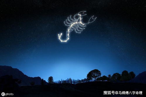 12星座职场魔鬼定律,可别让ta牵着鼻子走