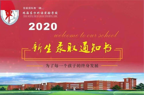 哈尔滨学日语的学校,哈尔滨学日语：探寻东方魅力之旅的启航点