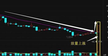 新股蓝黛传动002765发行价是多少