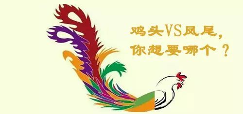 2018成都小升初择校 名校是把双刃剑, 鸡头凤尾 怎么选 