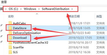 win10电脑不了东西了