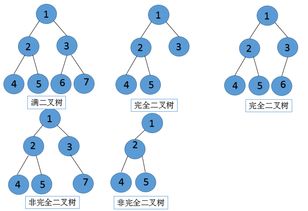 什么是非空二叉树,非空二叉树：揭秘结构与算法的完美结合