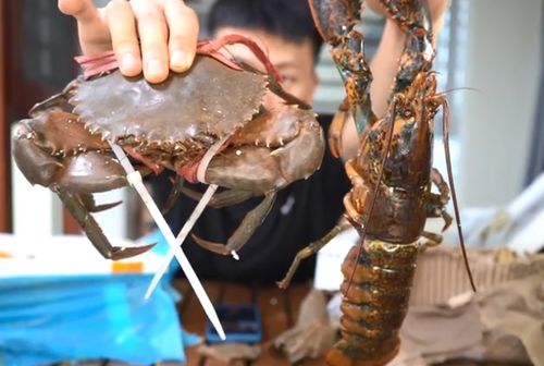 一斤重的龙虾和螃蟹,到底谁的肉多一些 很多人都猜错不信你看看 
