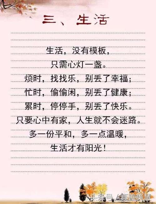 伴可以造句子,仿写句子书香伴我行出一个多姿多彩的人生？