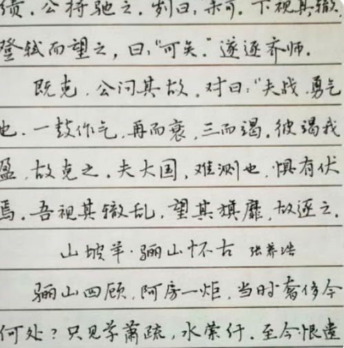 高中生的 汤圆字体 ,圆润饱满观感好,练字真的很重要