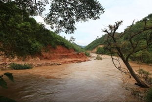 越南在中越分界河兴建河堤 导致中国国土流失 